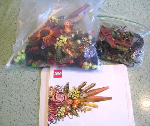 LEGO Icons Dried Flower Centerpiece Set 10314 w Instruction Book