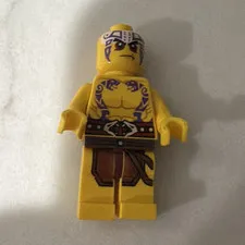 LEGO Ninjago Tournament of Elements series.