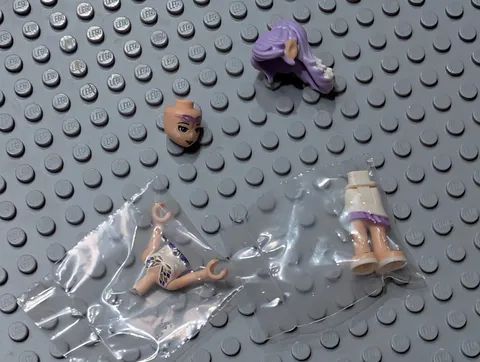 LEGO Elves Aira Windwhistler White Skirt Minifigure From Set 41073 NEW