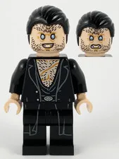 LEGO [No Color/Any Color] Fenrir Greyback - Black Hair hp209 Used Genuine