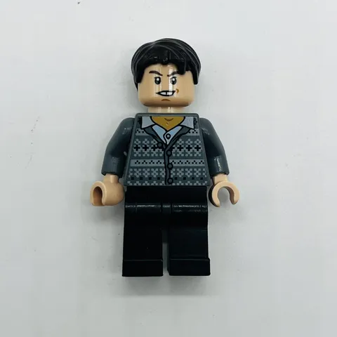 Lego Minifigure Neville Longbottom - Fair Isle Sweater hp129 Harry Potter