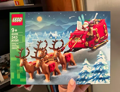 LEGO Iconic Seasonal Santa's Sleigh 40499 343-Piece Boxed Complete Set 9+