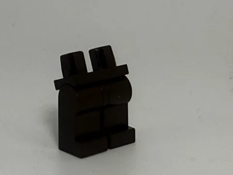 LEGO-BLACK LEGS