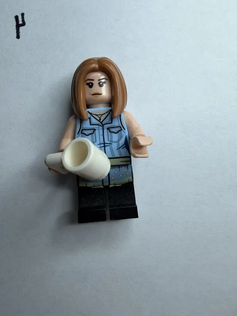 Lego Mini Figure Ideas TV Series Friends Rachel Green from Set #21319