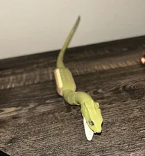 LEGO Harry Potter Chamber of Secrets Basilisk Snake Figure Genuine LEGO