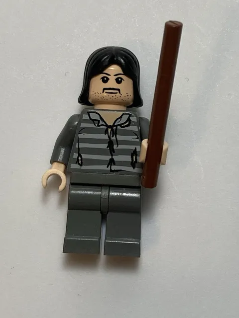 LEGO Harry Potter Minifigure Sirius Black hp045 in sets 4756 4753