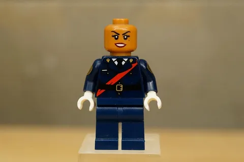 LEGO Minifigure Batman Movie Series 1 Collectible 71017 Barbara Gordon
