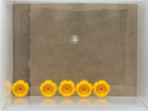 LEGO Parts - Bright Light Orange Plate, Round 1 x 1 Flower - No 24866 - QTY 5