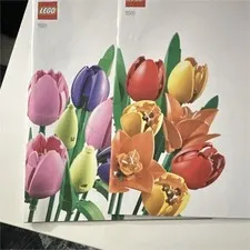 LEGO Botanicals Bouquet of Flowers #10280 Illustrated Manual Booklet EN/FR/ES