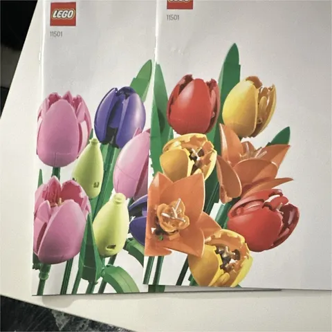 LEGO Botanicals Bouquet of Flowers #10280 Illustrated Manual Booklet EN/FR/ES