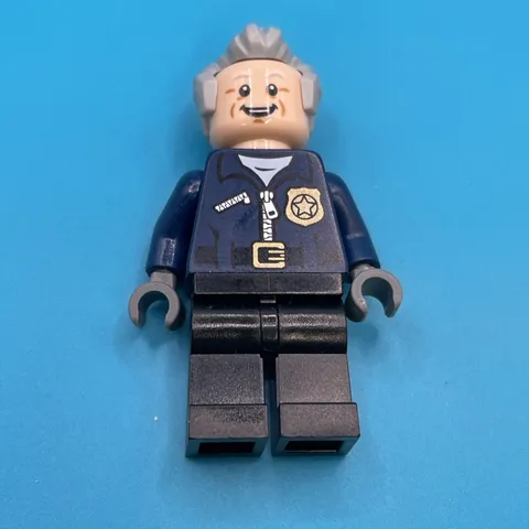 Lego DC Super Heroes Captain Stacy Minifigure 76059