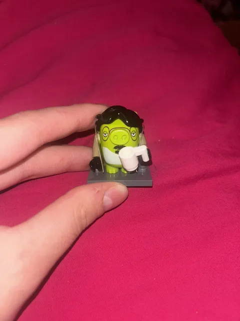 RETIRED RARE Angry Birds Garry Minifigure 