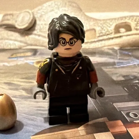 LEGO Harry Potter Minifigure with Golden Egg - Harry Potter Theme