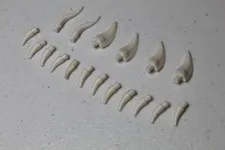 Numerous LEGO Animal Barbs / Horns / Teeth / Claws - White