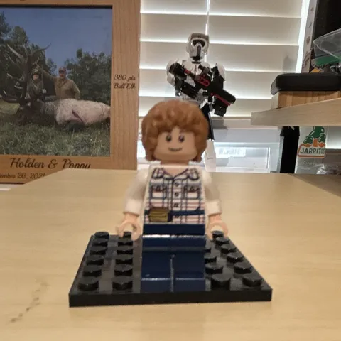 LEGO Minifigure Jurassic world Gray Mitchell slight scratch on both faces