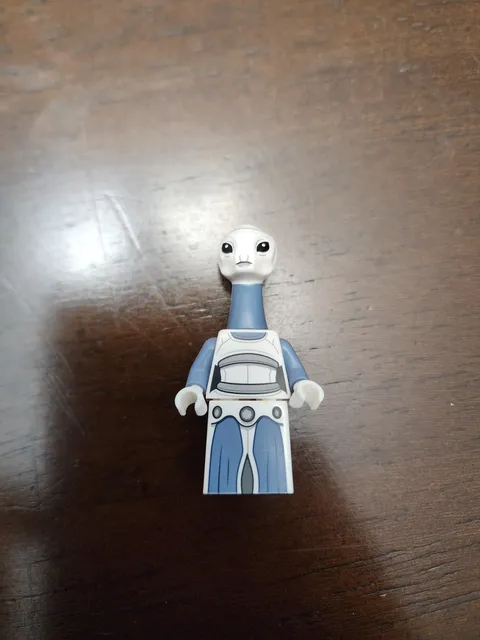 Taun We SW1216 Star Wars LEGO Minifigure