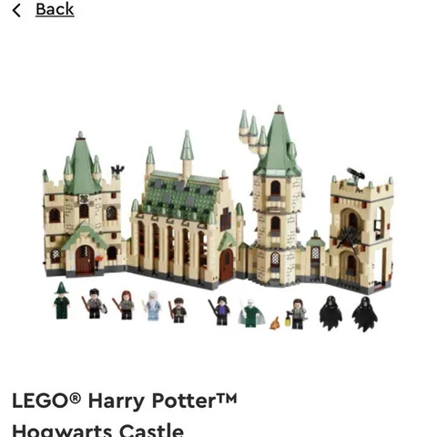 Read Description LEGO Harry Potter Hogwarts Castle 4842 w/ Minifigures
