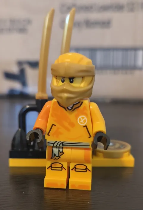 LEGO Ninjago Arin With Hood & Sword Minifigure