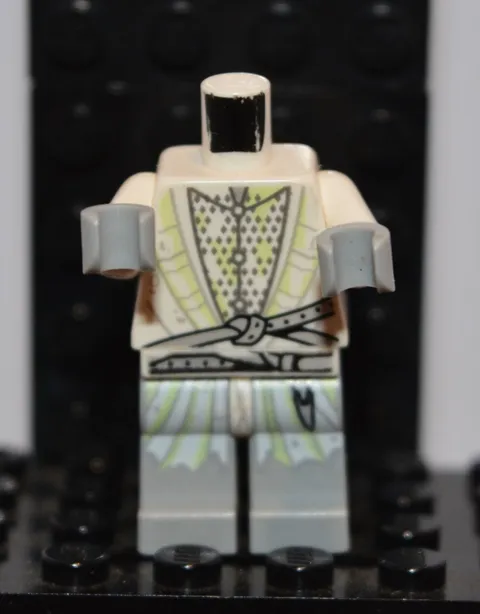 Lego Witch-King Minifigure The Lord of the Rings 79015 lor104 TORSO LEGS ONLY