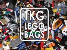LEGO 1kg Lot Bulk Creative Pack Random Mix Add To Your Existing Collection EUC