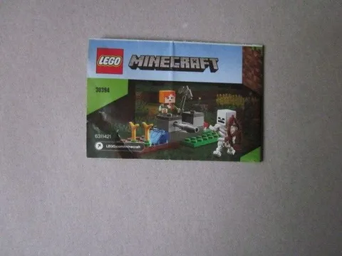 Lego Minecraft Building Instructions Instruction