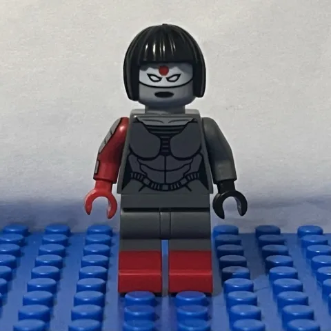 LEGO Minifigure Katana sh0283 Batman 76055