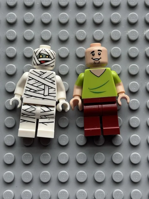 Lego Scooby Doo Minifigure Shaggy Dr. Najib Mummy