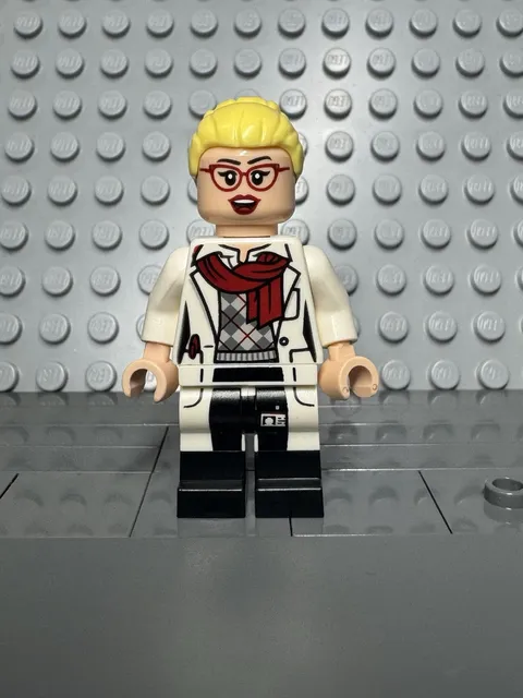 LEGO Doctor Harleen Quinzel minifigure ( 70912 ) DC Super Hero’s