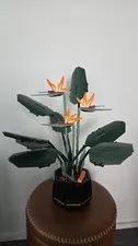 Lego Bird of Paradise 10289 