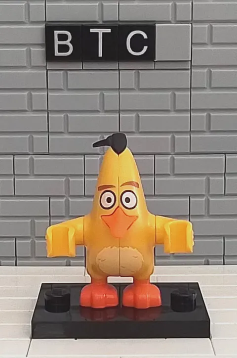 LEGO The Angry Birds Movie 75821 Chuck Minifigure! ANG001!