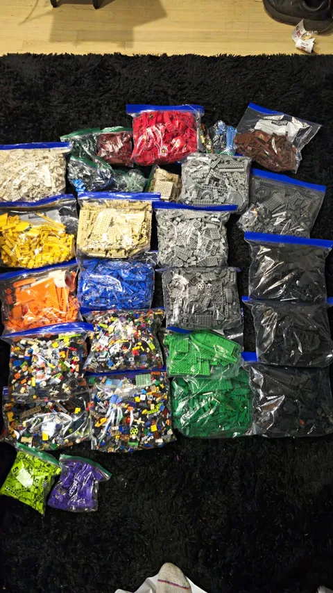 LEGO Bulk Lot Assorted Bricks & Pieces Multicolor Sorted by Color in Bags