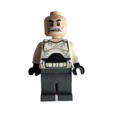 LEGO Star Wars Captain Rex sw0749