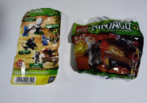 LEGO Ninjago White Ninja Figure Model