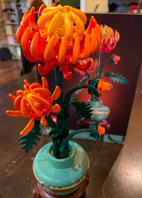 LEGO Botanicals: Chrysanthemum (10368)