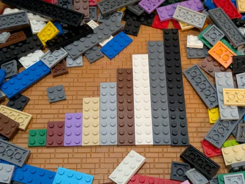 LEGO 1000pcs 2x2 2x3 2x4 2x6 2x8 2x10 2x12 2x14 2x16 Assorted Plates Bulk Lot
