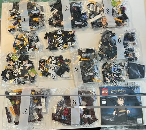 LEGO 76393 Harry Potter & Hermione Granger Wizarding World New NO BOX READ