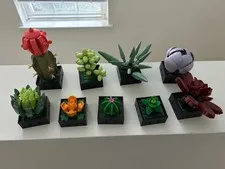 LEGO Botanicals andSucculents 10309 No Instructions No Box