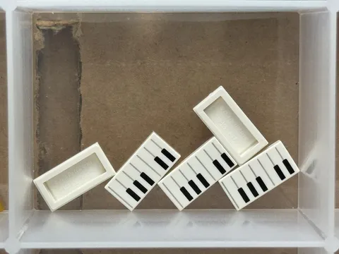 LEGO Parts - White Tile 1 x 2 Black Piano Keys Pattern - No 3069pb0761 - QTY 5