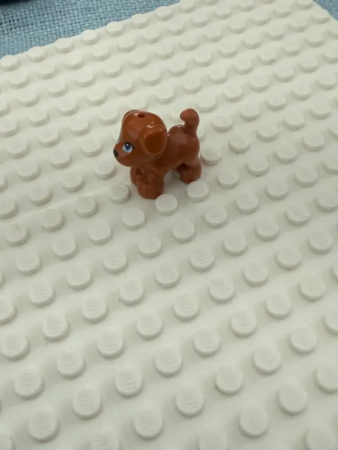 Lego- REDDISH BROWN DOG