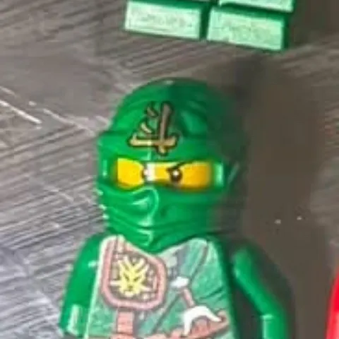Lloyd jungle robe mask(read description)