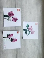 LEGO Icons Bouquet of Roses 10374 Illustrated Instruction Manual Booklets Multi