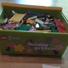 LEGO Multicolor Bulk Lot Loose Bricks/Pieces With Storage Tub 6 Pounds 9 Oz