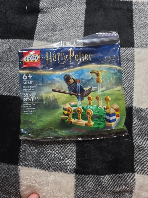 LEGO Harry Potter: Quidditch Practice (30651)