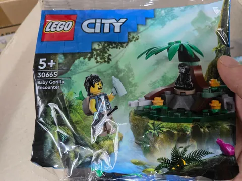 LEGO 30665 – Baby Gorilla Encounter