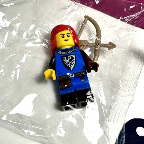 LEGO 71037 CMF Minifigures - Series 24 - #5 Falconer Open Package for Photos