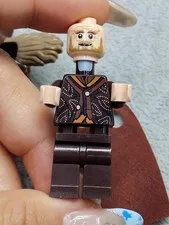 LEGO Radagast the Brown Minifigure 79014 the Hobbit