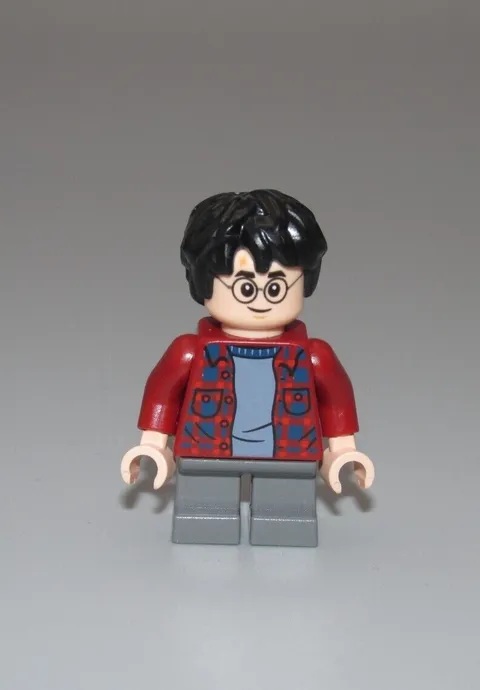 LEGO Harry Potter minifigure Harry Potter 40452 75953