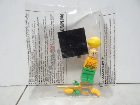NEW Lego Aquaman 76000 76027 71237 Super Heroes Batman II Minifigure