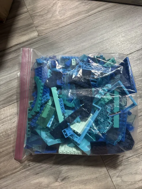 LEGO Blue And Blue Transparent Assorted Lot 1lb 7.7oz