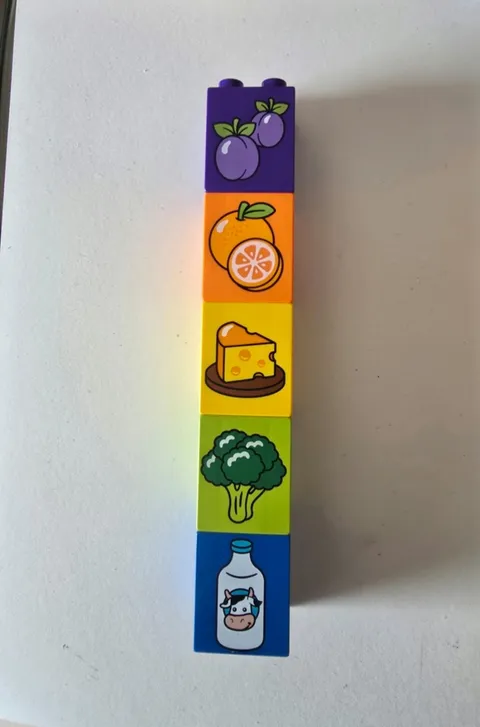 Lego Duplo Lot Of 5 Vintage Blocks BLUEBERRIES, ORANGE, CHEESE, BROCCOLI, MILK 